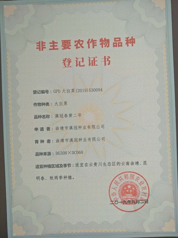 非主要農(nóng)作物品種登記證書-滇冠春黃二號(hào)