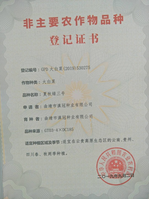 非主要農(nóng)作物品種登記證書-大白菜夏秋綠三號(hào)